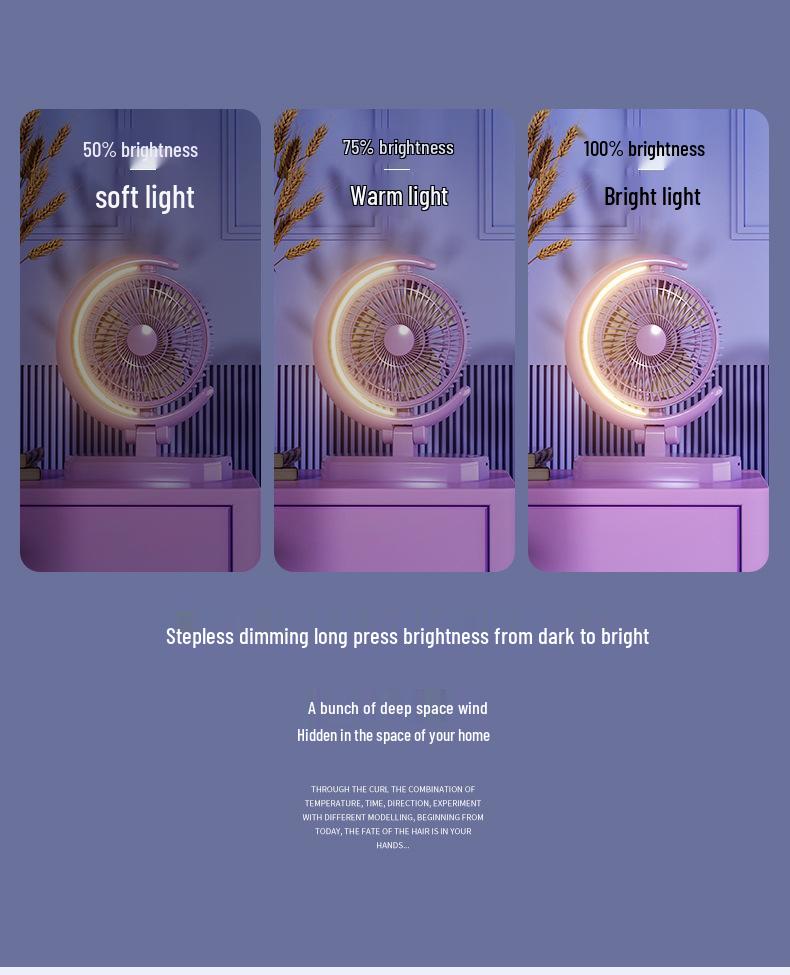 USB Rechargeable Multi-functional Silent Mini Desk Fan with Light