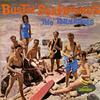 CD TORNADOES - Bustin' Surfboards SC6003 Sundazed Music US Рок Б/у