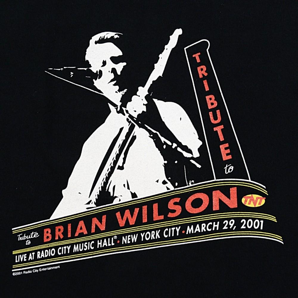 Tribute to BRIAN WILSON 2001 Shirt Classic Black Unisex S-5XL 1J0135 Unisex T-Shirt