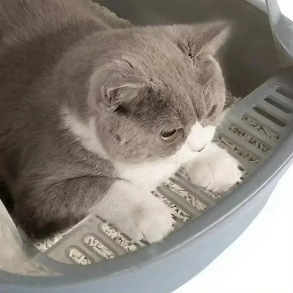 Открытый кошачий туалет, утолщенный кошачий песочница, полузакрытый высокий бортик, брызгозащищенные лотки для домашних животных с совком для туалета, товары для кошек