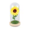 Simulation Sunflower Glass Cover Decoration Luminous LED Artificial Eternal Sunflower Glass Dome