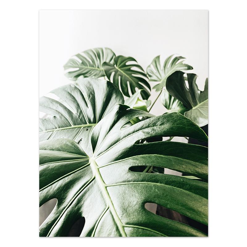 Абстрактное зеленое растение, природа, холст, живопись, скандинавское настенное искусство, листья, постеры, принты, цитаты, картинки для гостиной, домашний декор