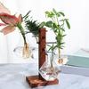 1 Set Plants Propagation Station with 4 Glass Vases Indoor House Plant Terrarium Kit Hydroponic Flower Holder Plants Container Decoration Table