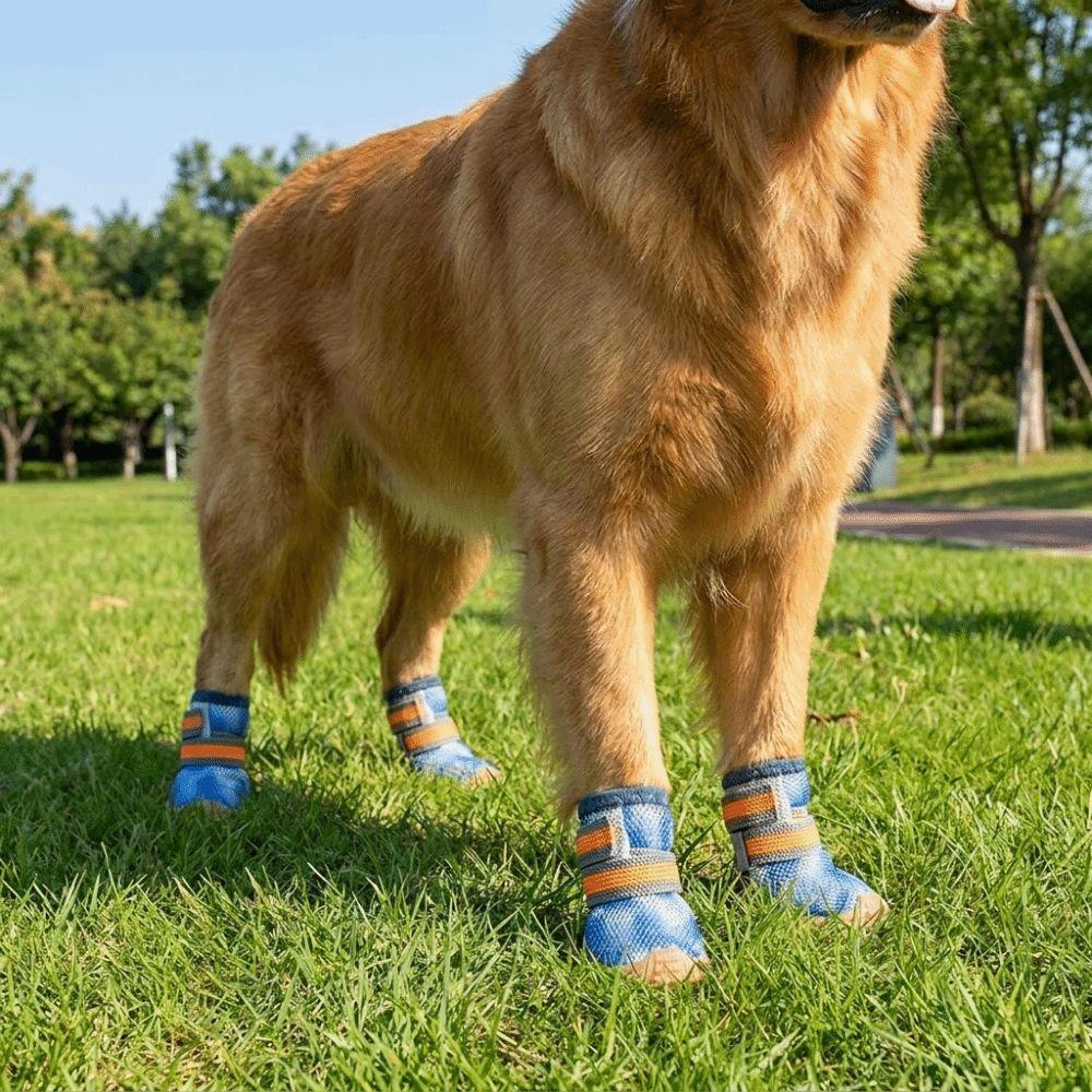 4 pcs/set Wear Resistant Dog Mesh Shoes Breathable Mesh Dog Sneakers Dog Foot Covers  City Walks