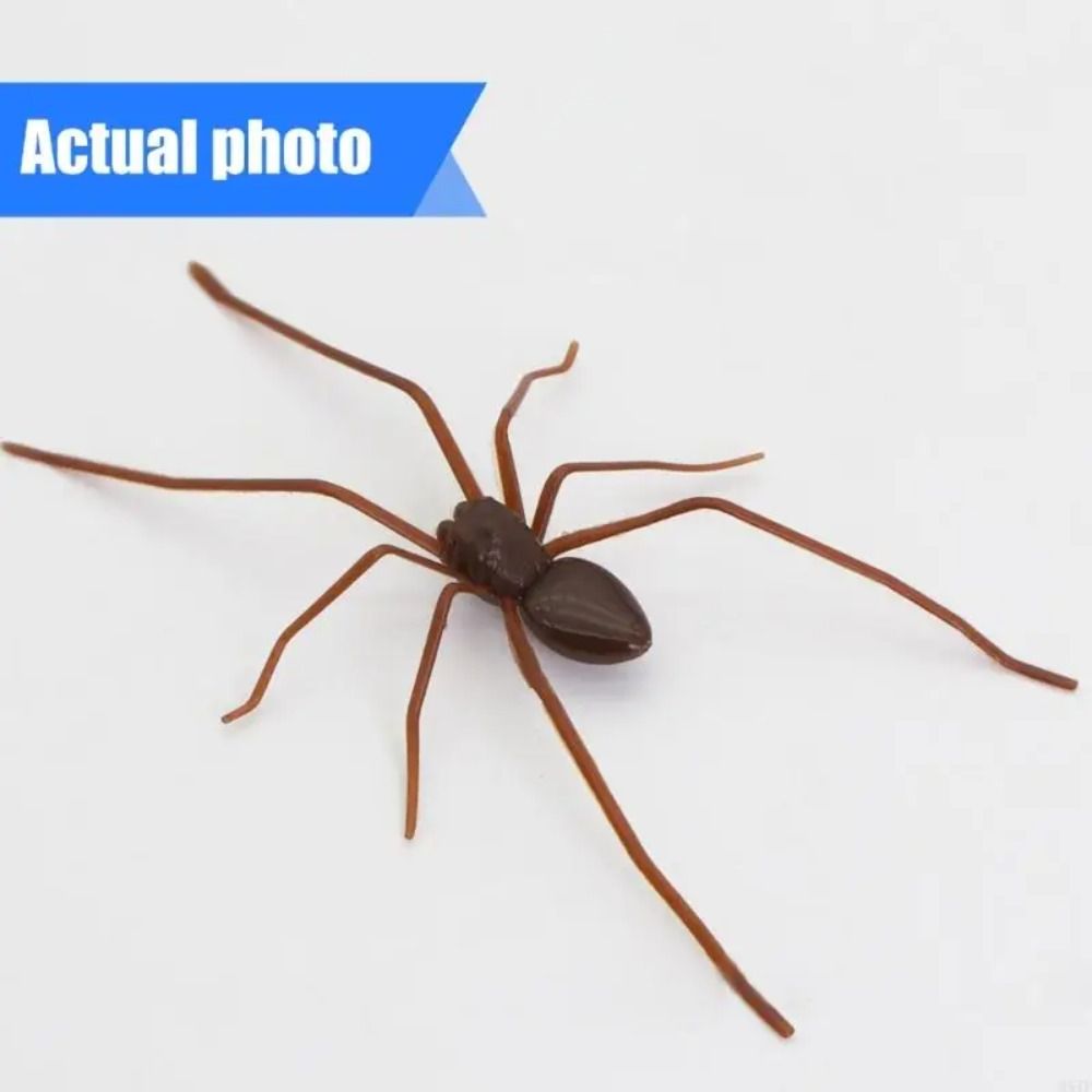Magnet Simulation Spider Toy 3D Design Spider Prank Toys Spiders Decoration Office Joke