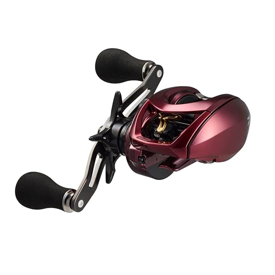 DAIWA Baitcasting Reel 23 ADMIRA 100XH