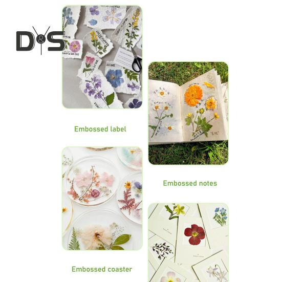 Набор для прессования цветов Embosser, простой в использовании набор для сбора цветов, поделки своими руками для мгновенного сохранения цветов