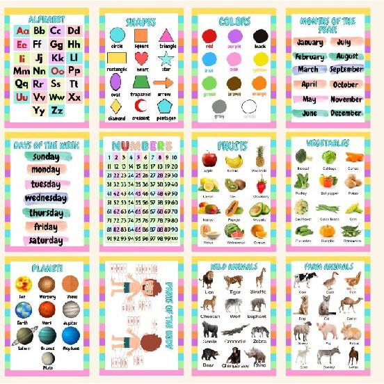 Thick film laminated charts Bundle of 12 pcs educational charts size A4