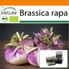 Garden in the Bag - Органический - Репа - Милан Пурпурный - 600 семян - С субстратом в подходящем пакете-стойке - Brassica rapa