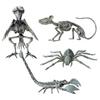 Хэллоуин Животное Скелет Пластиковая Модель Кости Реалистичный Скелет Ворона Паук Крыса Скорпион Фигурка для Домов с привидениями Сцены Кладбища Вечеринки Декор