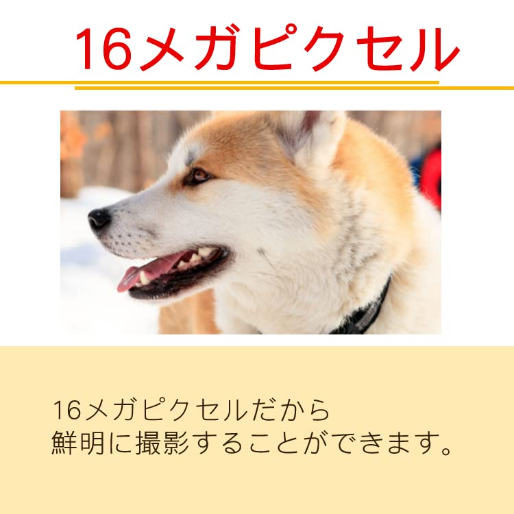 Kodak Kodak Digital Camera FZ45 AA Battery Operated (Red)