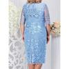 Women's Summer Large-size Dress Embroidered Lace Slim Dress