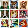 Animal Cartoon Latch Hook Pillow Smyrna Package Hooks Hand Knitted Embroidered Pillow Carpet Embroidery Set Latch Hook Rug Kits