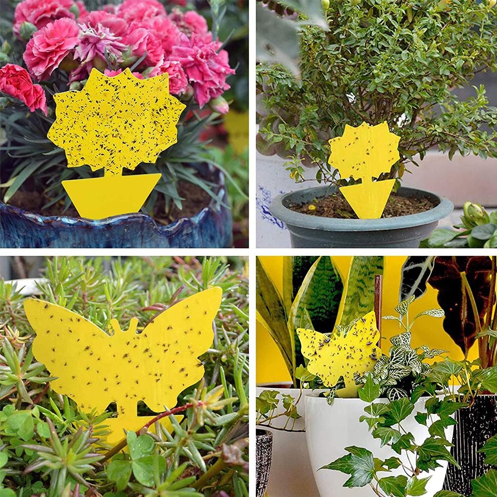 24 шт. липкие ловушки пластиковые липкие доски водонепроницаемые двухсторонние ловцы вредителей для садовой теплицы