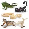 Simulation Forest Animal Model Children'S Cognition White Phoenix Green Iguana Scorpion Python Horned Lizard Tabletop Ornament
