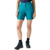Regatta Шорты Chaska III