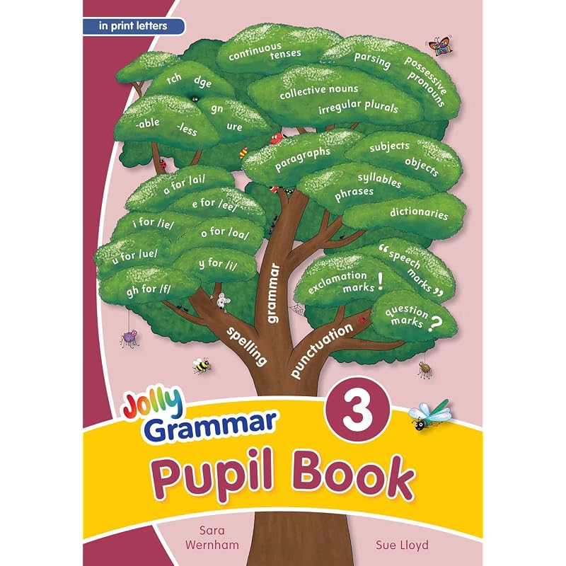 Учебник по грамматике, разработанный для продолжения после Jolly Phonics