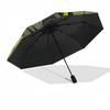 Maleficent, Crow Themed Automatic Opening and Closing Umbrella, Brightly Colored 8-rib Portable Umbrella, Suitable for Men and Women, A Perfect Gift f