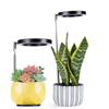 Indoor Full-Spectrum Plant Growth Lights, Led Plant Lights, and Indoor Sunlight-Like Growth Lights Are Suitable for Indoor Plants and Grow Lights with