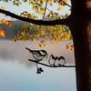 Bird Mother and Three Baby Birds Metal Fence Decoration Charming Tree Branch Scene, Ideal for Farmhouse Garden and Outdoor Décor