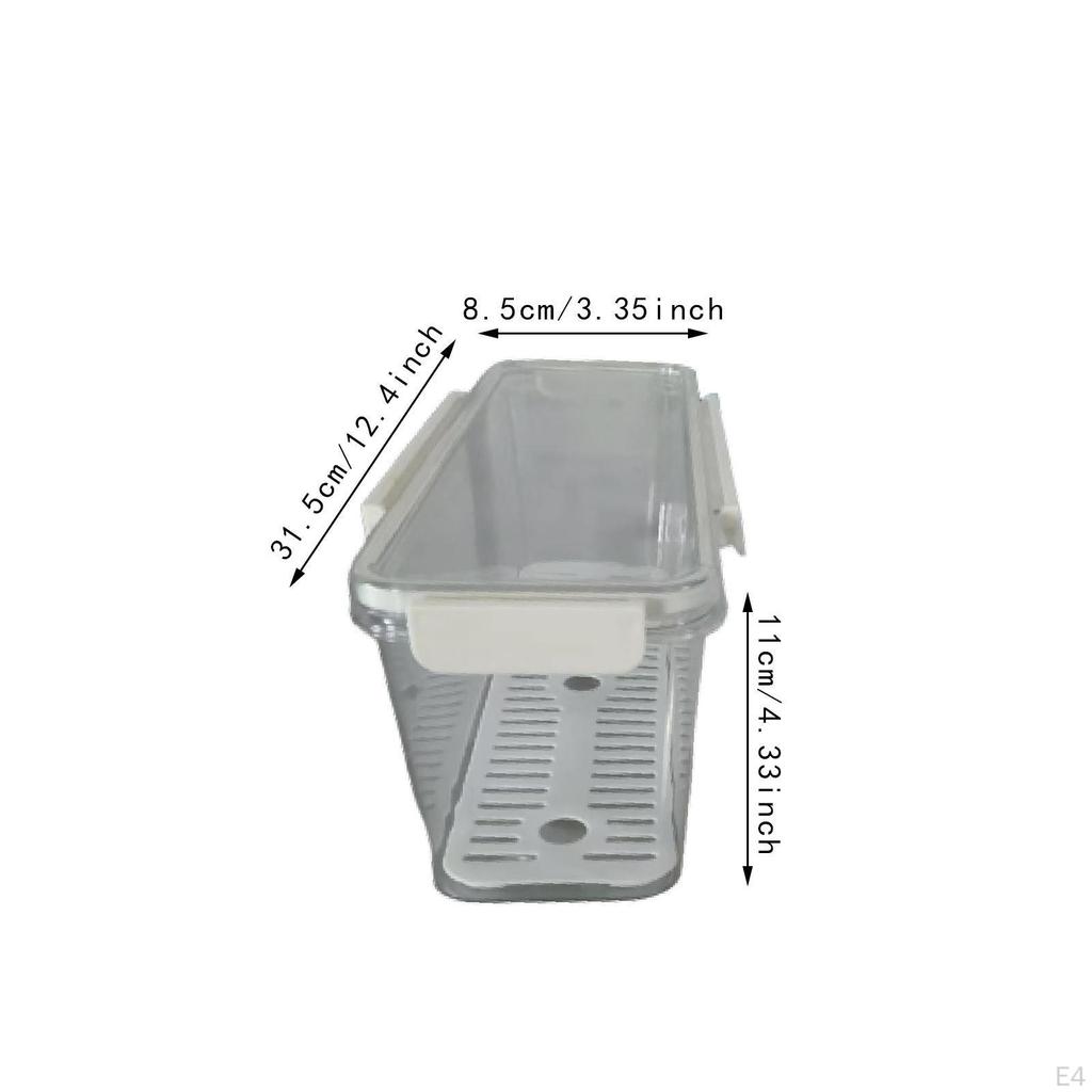 Pasta Container Food Keeper Clear Sturdy with Lid Noodle Holder Spaghetti Storage