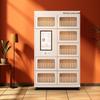 Smart RFID Document Management Cabinet