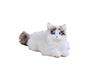 SEGA FAVE KIMIT Ragdoll Pet Robot Cat (Brown)