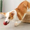 Interactive Pet Toys Brain Game Pet Treat Balls Leakage Food Ball Food Dispenser Dog Treat Ball