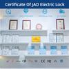 DFD DFD-DC205 Five-wire Low Temperature Electric Bolt Lock Time Delay Function Concealed Installation Glass Door Access Lock
