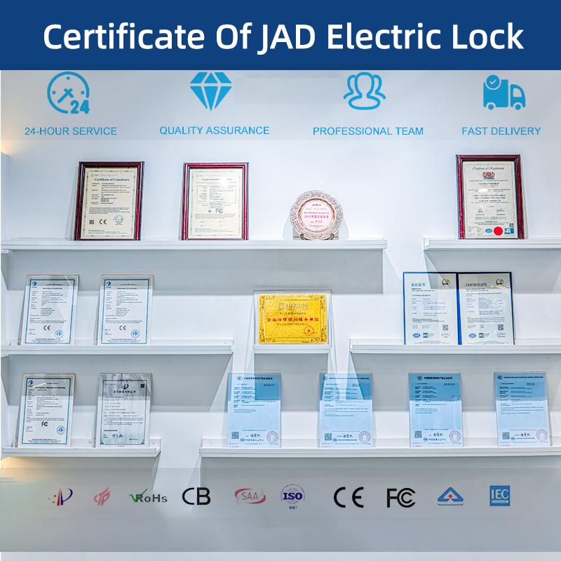 DFD DFD-DC205 Five-wire Low Temperature Electric Bolt Lock Time Delay Function Concealed Installation Glass Door Access Lock