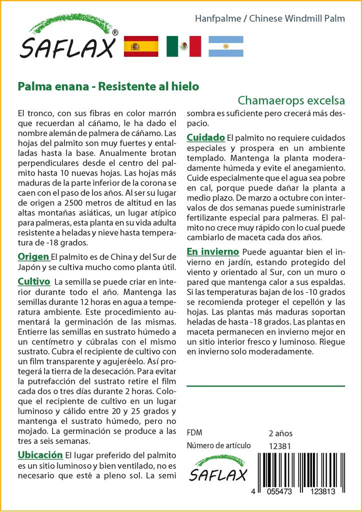 SAFLAX Пальма китайской ветряной мельницы - 10 семян - С горшечным субстратом для лучшего выращивания - Chamaerops excelsa