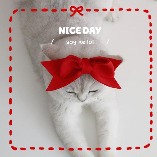 Головной убор для питомца в стиле принцессы, ультралегкий, эластичный, нежный к коже, легко надевается, нарядный