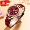Brand Watches Women Automatic Mechanical Watch Women's Watch Niche