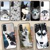 Alaskan Husky Dog Cute Puppy For Redmi Note 12 Pro Plus Cover For Redmi Note 10 8 9 11 Pro 12S 11S 10S 9S 9C 10C 12C Case