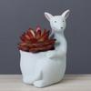 Cute Kangaroo Flower Pot Ceramics Succulent Pot Planter Home Decor Desktop Ornaments Garden Decoration Bonsai Plant Pot