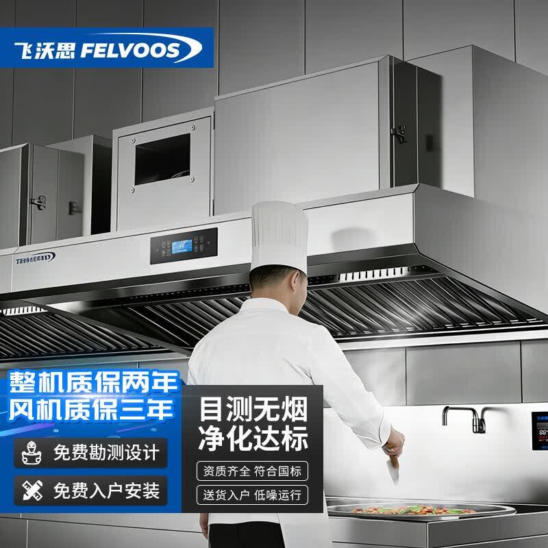 Feiwosi Commercial Integrated Fume Purifier