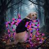 LED Purple Lights Halloween Pet Spider Costume Furry Pet Cosplay Costume  Halloween Party