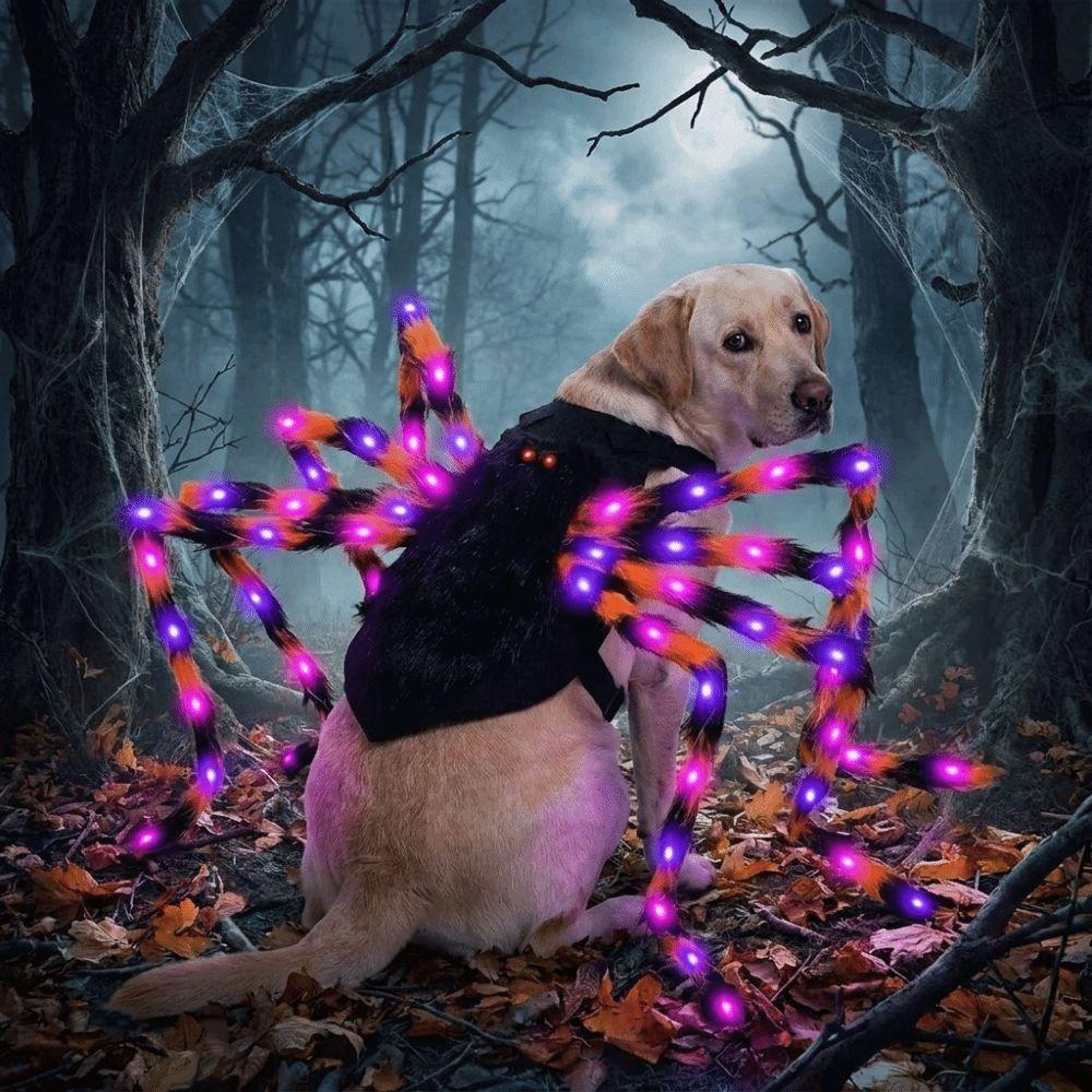 LED Purple Lights Halloween Pet Spider Costume Furry Pet Cosplay Costume  Halloween Party