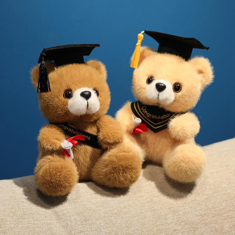Graduation Gift Bear for Students: Doctoral, Master's, University, Kindergarten
