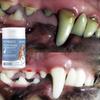 Pet Tooth Powder Can Gently Clean Dog and Cat Tooth Dirt Without Irritation