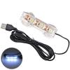 Aquarium Light Small Night Light USB Charging Illuminator Light for Fish Tank Convenient Aquarium Light Aquarium Lighting Lightweight Waterproof