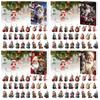 Christmas Hanging Ornament Cat Advent Calendar Acrylic 24 Days Christmas Countdown Calendar
