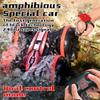 2.4G Amphibious All-Terrain Off-Road Vehicle Double-Sided Stunt Car Four-Wheel Drive Gesture Remote Control Children'S Toy Car