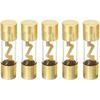 5 X 30A Fuse Car Automotive Audio Power Safety Protect Glass Tube Gold Plated Protection