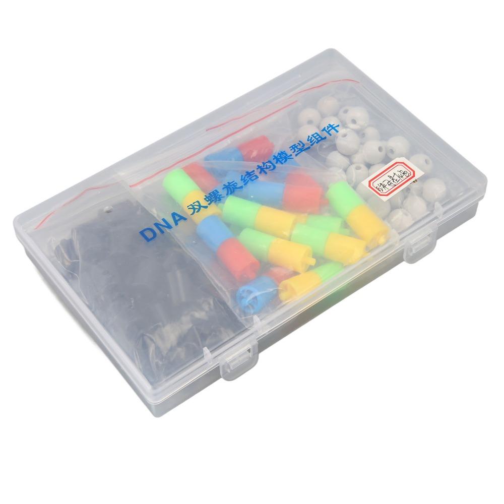 Plastic Material Gene Structure Model Genetic Variation Model Genetics Presentation
