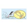 Gamakatsu Snap Sonic Power Snap (Экономичный) М 80 фунтов 36,2 кг 24 шт. 67851