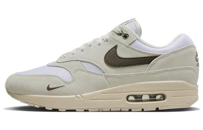 Air Max 1 'Ironstone' DZ4494-100