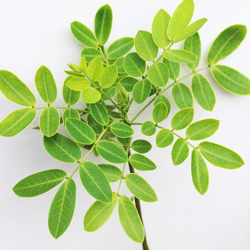 Чай Fitné Chrysanthemum And Senna Leaves Flavored 8/30/60 пакетиков - Натуральные ингредиенты