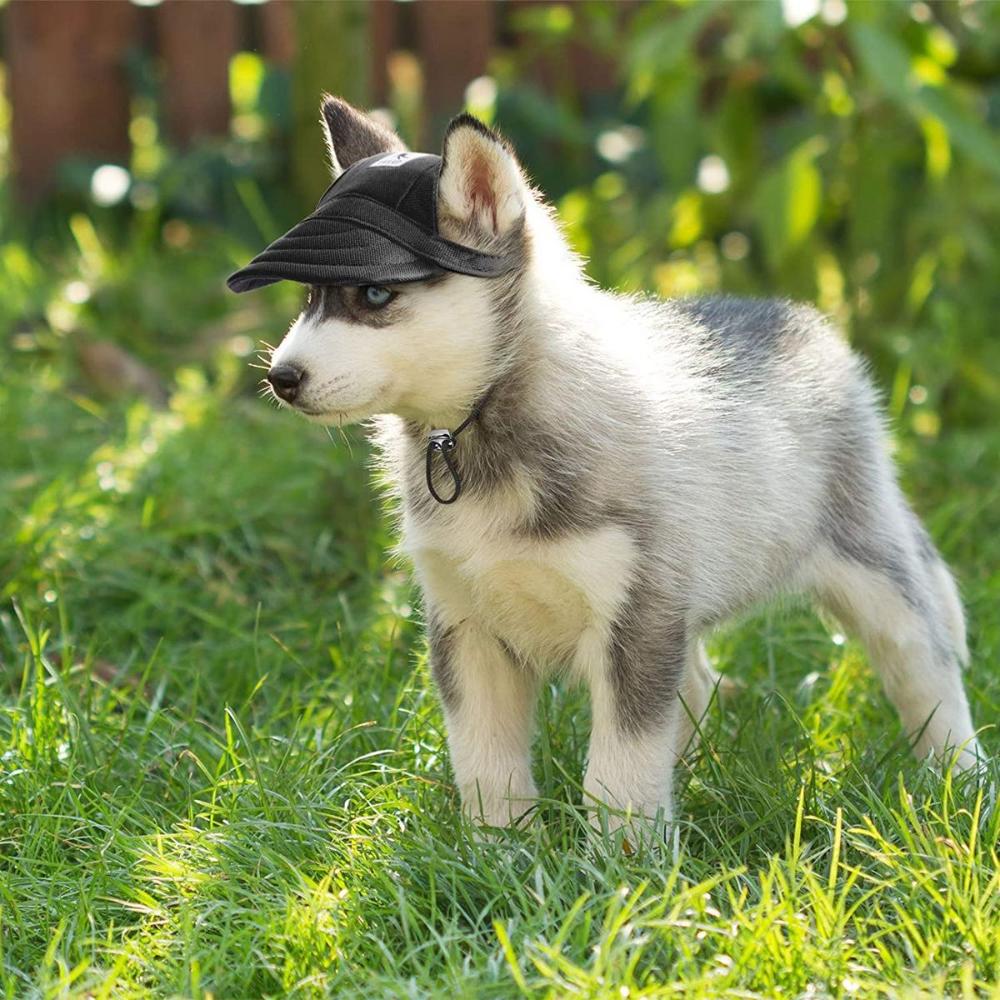 With Ear Holes Adjustable Chin Strap Puppy Dog Visor Hats Sun Protection Sunbonnet Baseball Cap