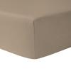 Fitted Sheet 160 X 200 Cm - LIGHT TAUPE 100% Cotton 57 Threads/cm